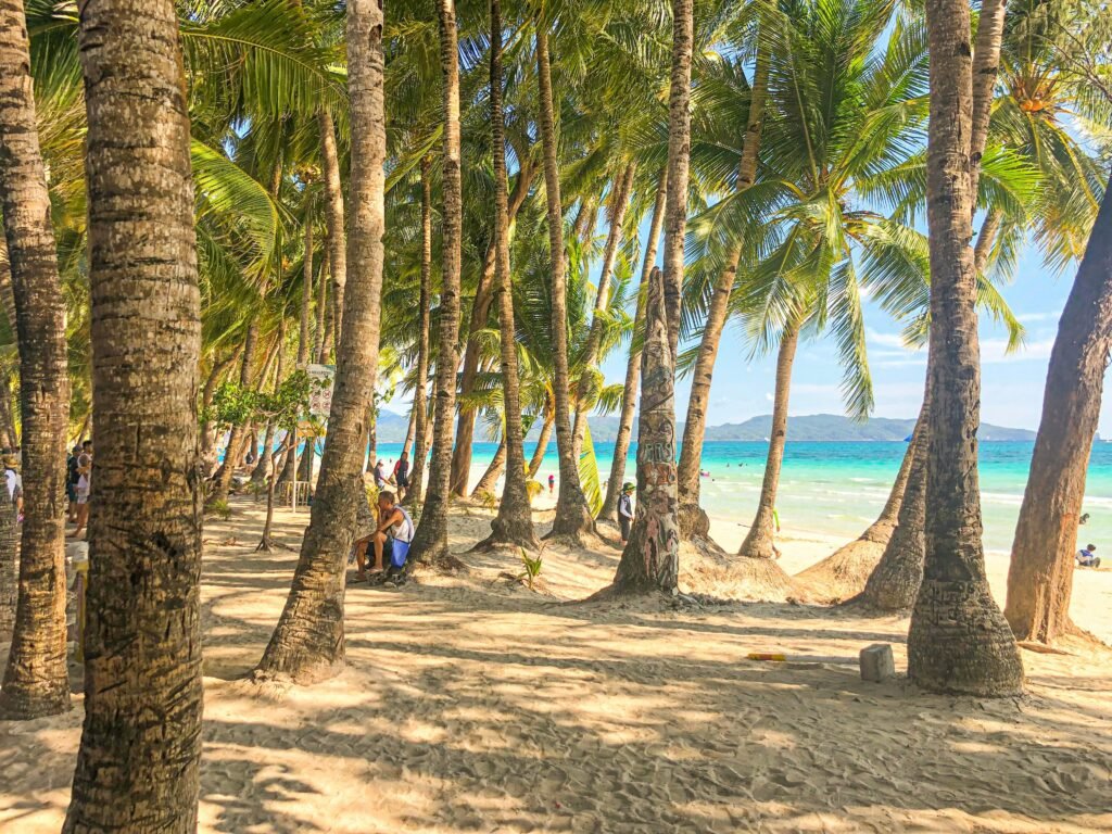 Idyllic tropical beach scene with coconut palms, clear sky, and pristine ocean water.